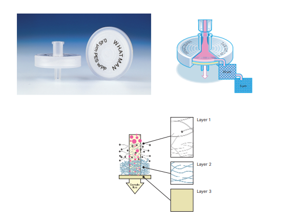 Syringe lọc GD/XP - Whatman